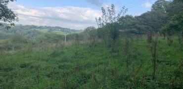 SSTC – Land at Stepaside – 4.38 acres